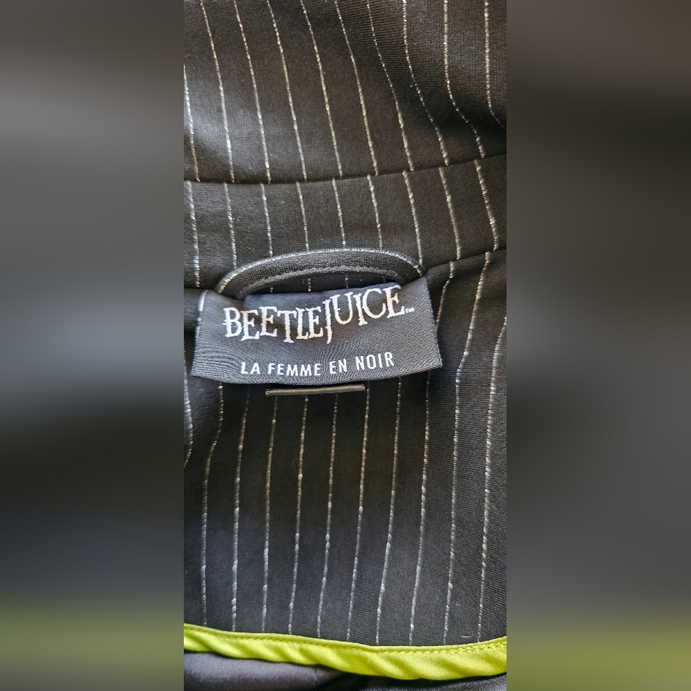 La Femme en Noir BEETLEJUICE™ Delia Dress 3X EUC OBO - Picture 8 of 9